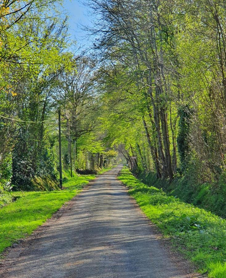 Le Clos Joly 14 Saint-Gâtien-des-Bois Εξωτερικό φωτογραφία